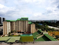Blk 935 Yishun Central 1 (Yishun), HDB 4 Rooms #198479962